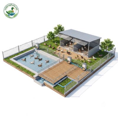 Kỹ Thuật Xây Dựng Chuồng Trại Nuôi Vịt Trời